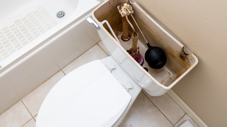 toilet with open tank