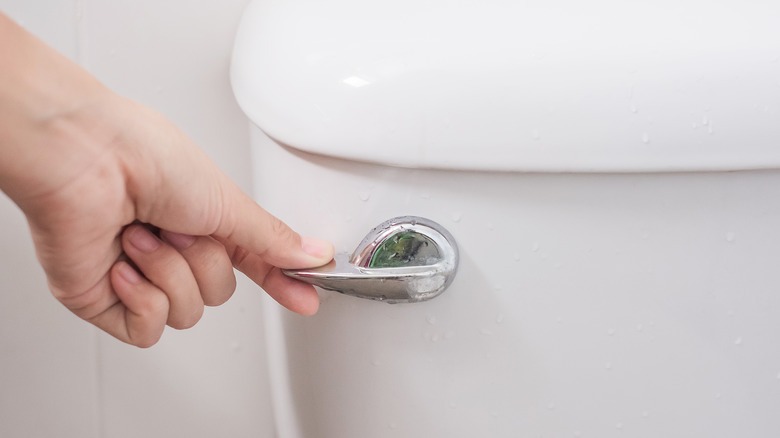 person flushing toilet