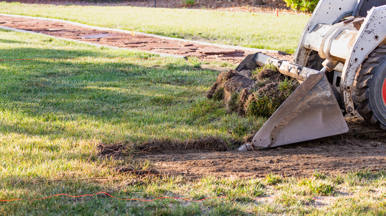 Removing zoysia grass