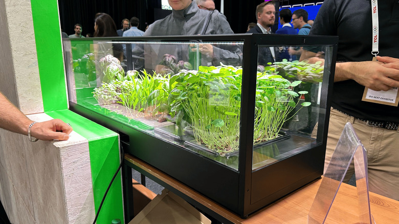 Grovero MiniGro at IFA 2025