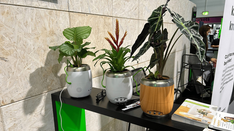Hello Tomorrow's PlantPetz Display at IFA