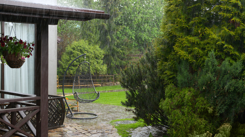 rainy patio 