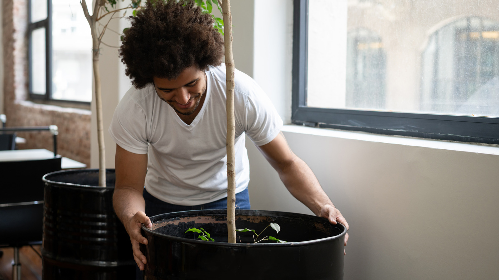 IKEA Has A $10 Solution That Makes Moving Large Planters A Breeze