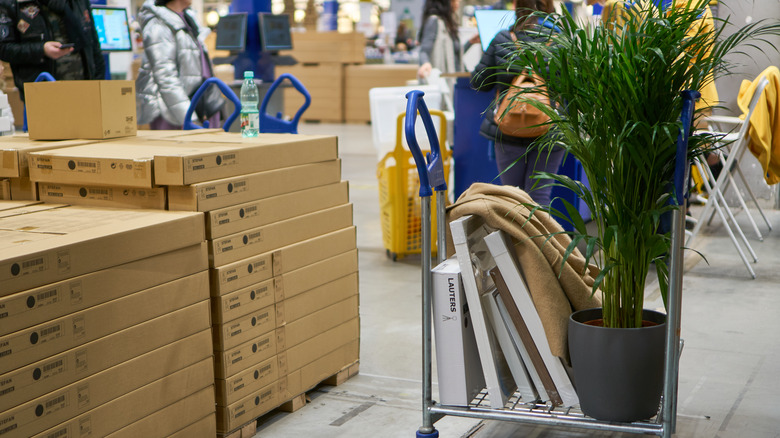 trolley with plant at ikea store