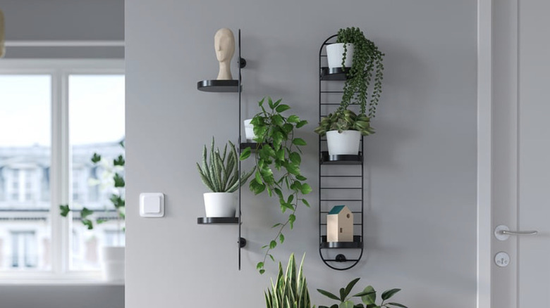 IKEA SKUGGRÖNA on the wall with plants on it