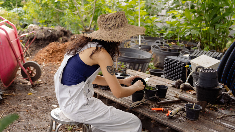 A person at a wooden table potting plants with garden tools and supplies all around her.