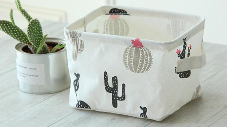 A white storage cube with a succulent print next to a green potted succulent