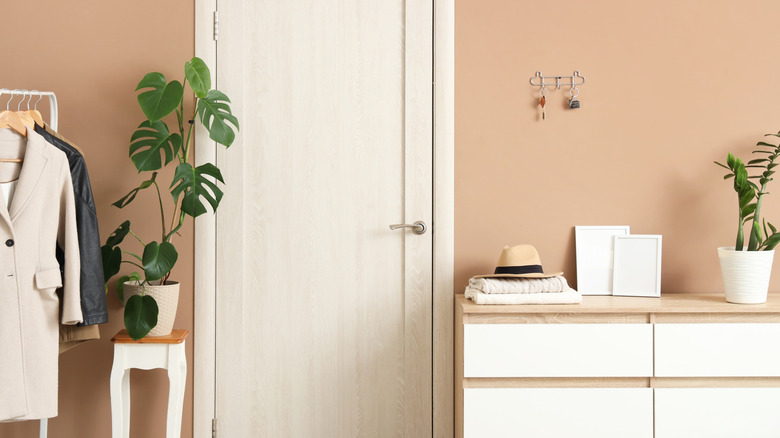 Stylish entryway with chest of drawers and wall hooks for keys