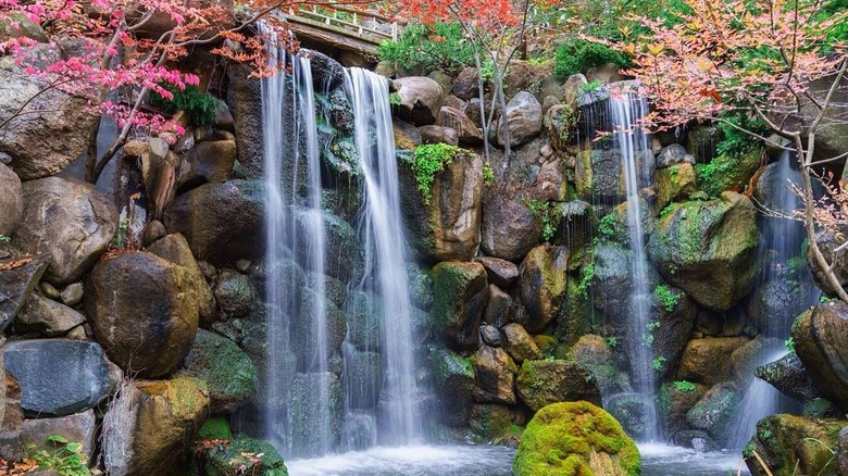 garden waterfall and fall foliage