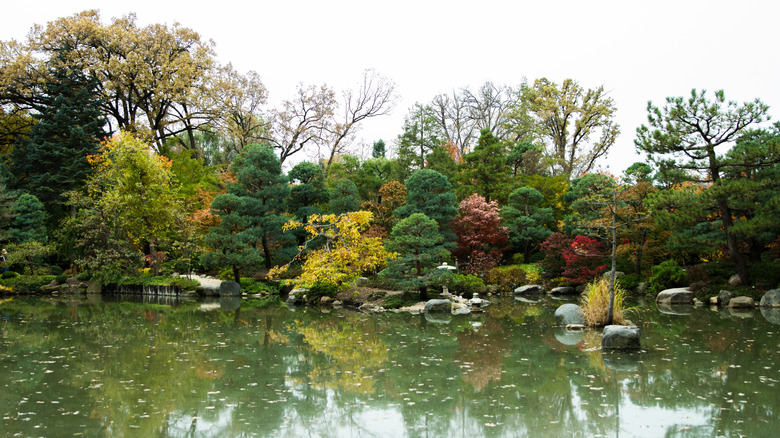 Anderson Japanese Garden pond