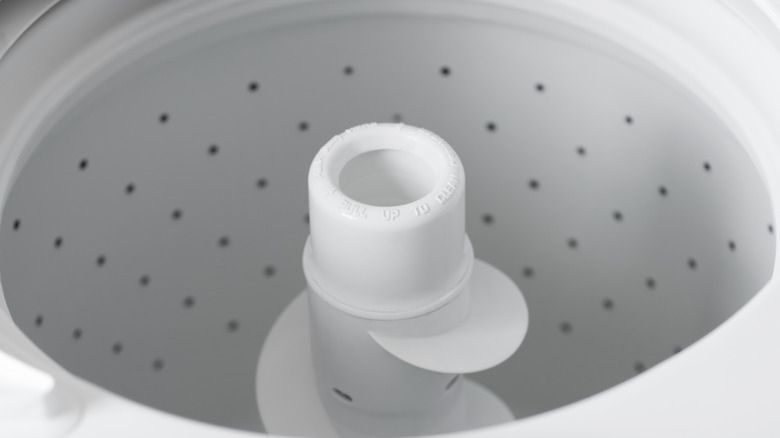 Washing machine with an agitator