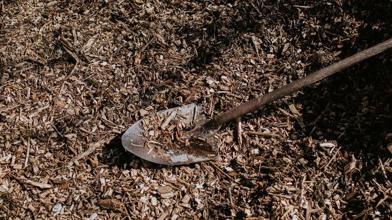 Organic wood chip mulch spread with shovel