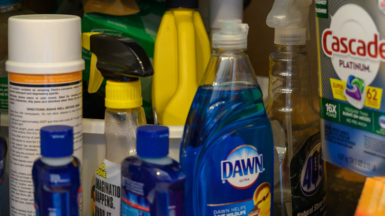 Cleaning supplies in an under-sink kitchen cabinet