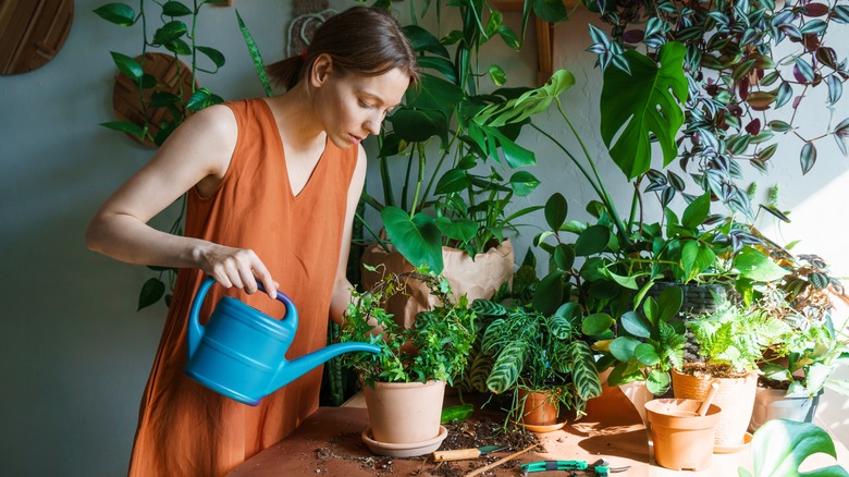 Woman watering garden plants