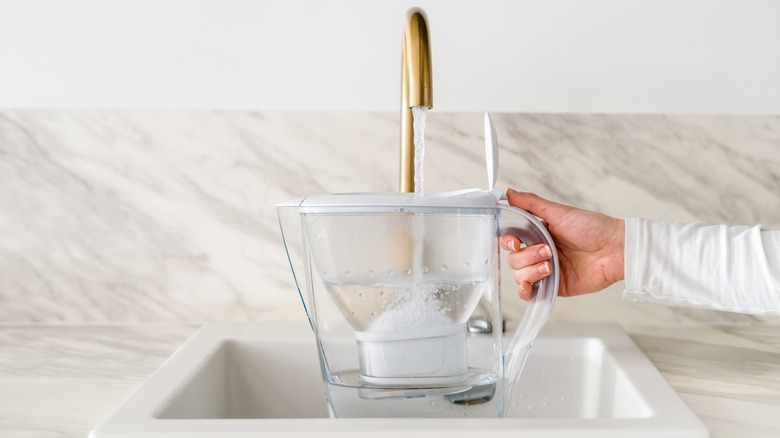 A person filling a filtered water pitcher.