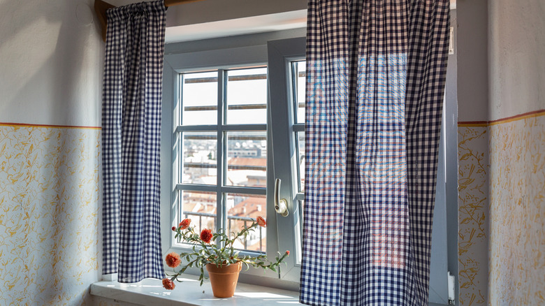 Short blue and white gingham curtains with a flower pot.
