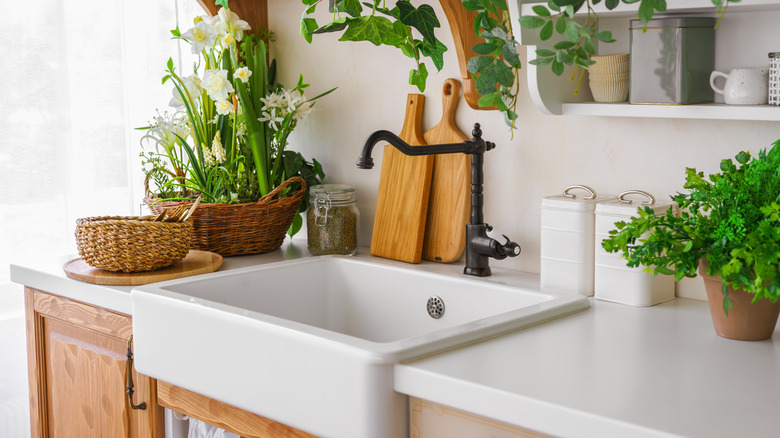 A white farmhouse sink surrounded by plants.