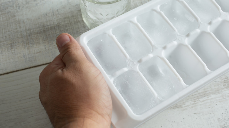 Someone holding an ice cube tray