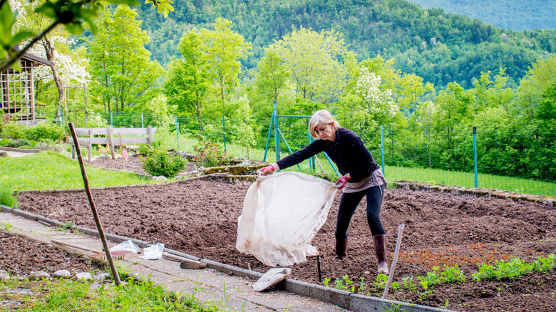 Woman adding insect netting into her garden