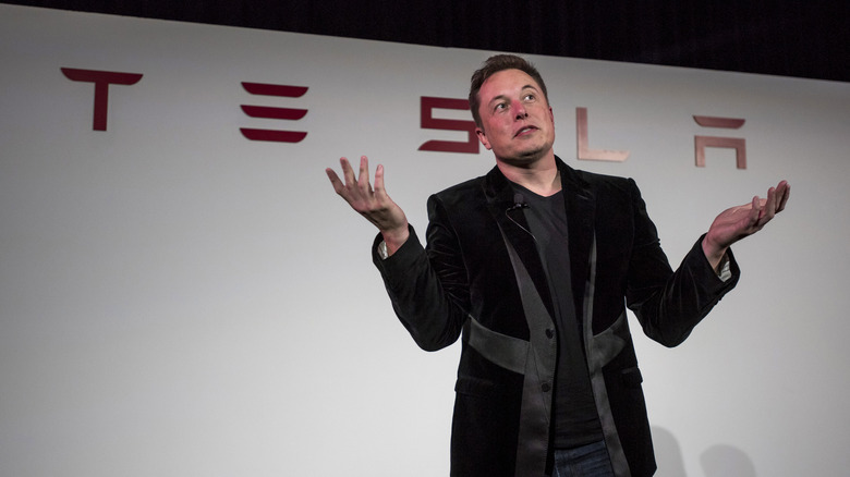 Elon Musk, CEO of Tesla