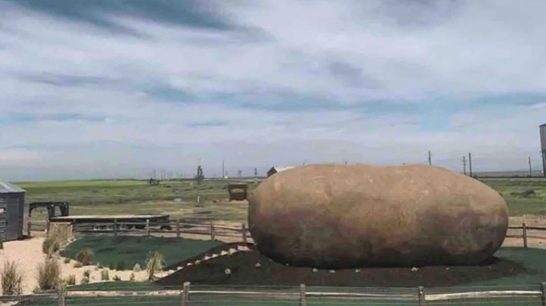 Giant potato Airbnb exterior