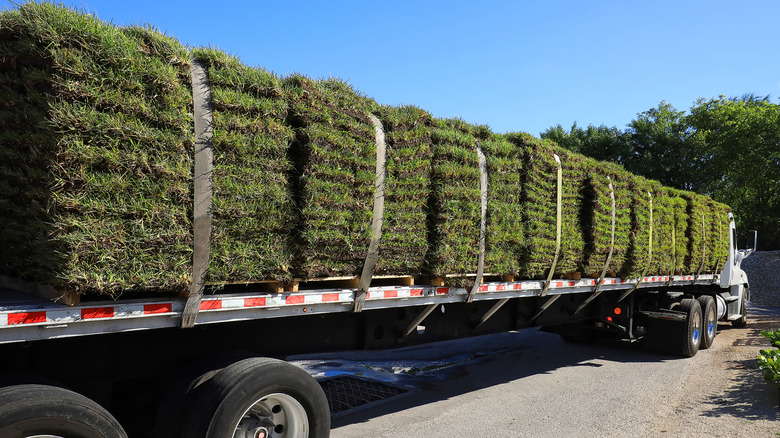 A truck delivering sod