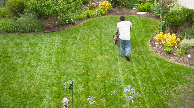 A person mowing the lawn