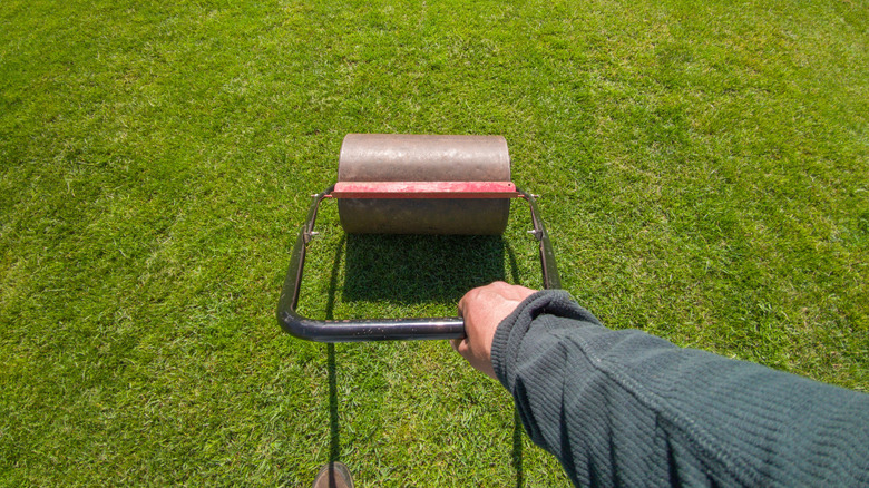 A person pushing a lawn roller