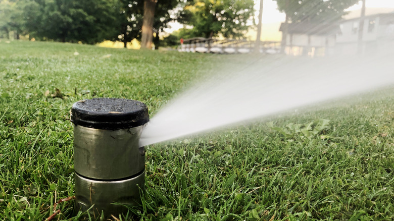 A sprinkler on grass