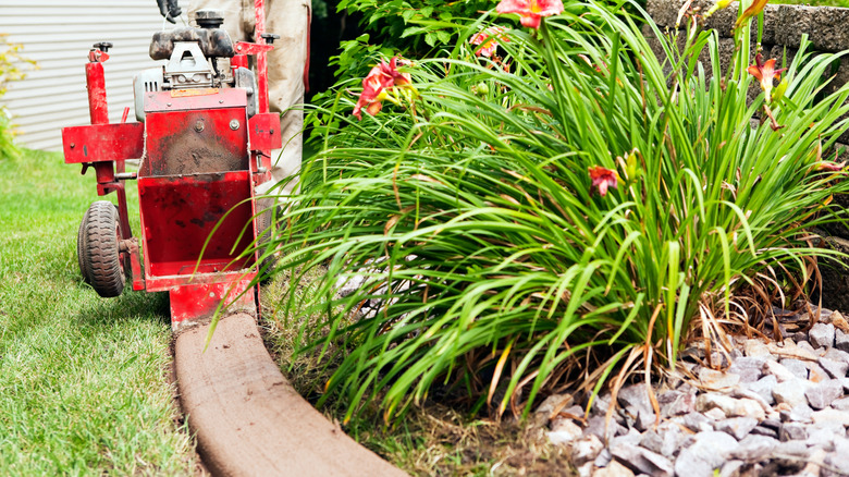 Concrete landscape edging being poured between lawn and garden