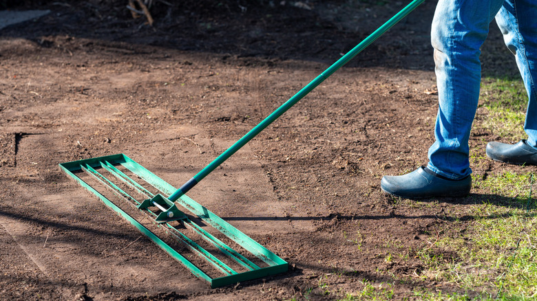 Man leveling soil in yard with large rake