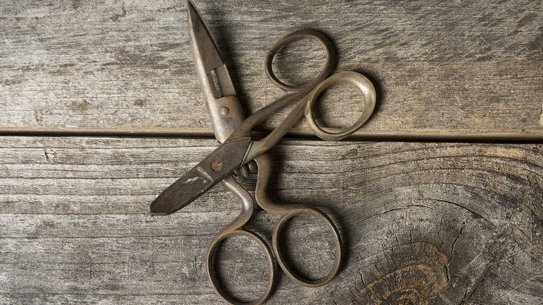 pairs of rusty scissors on distressed wood