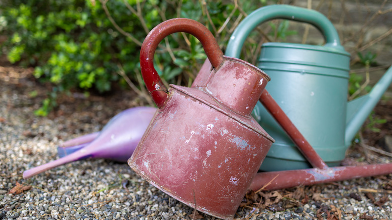 Vintage watering cans