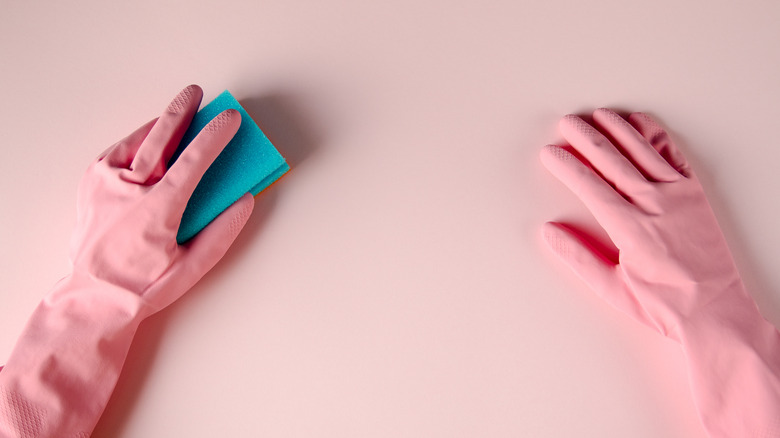 Person using sponge on wallpaper