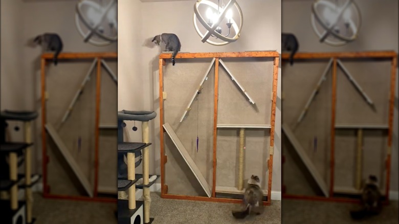 Cat tower made from box spring