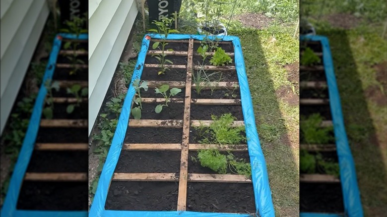 Box spring converted into a raised bed in a garden