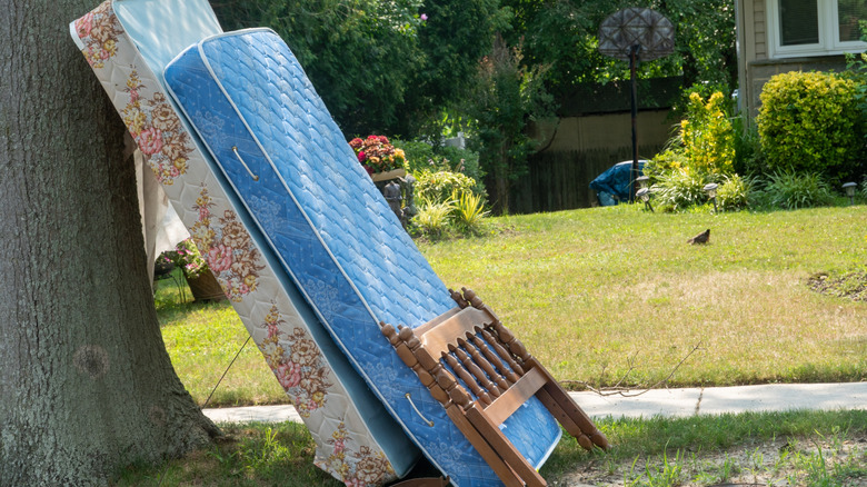 Old mattress, box spring, and bed frame leaned against a tree in front of a single-family home