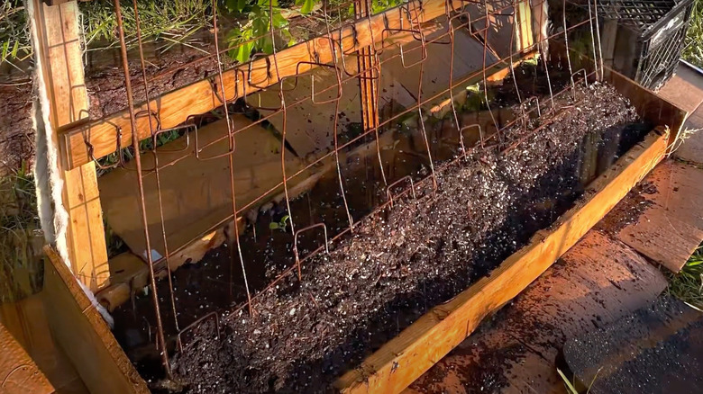 Old box spring upcycled into a cucumber trellis