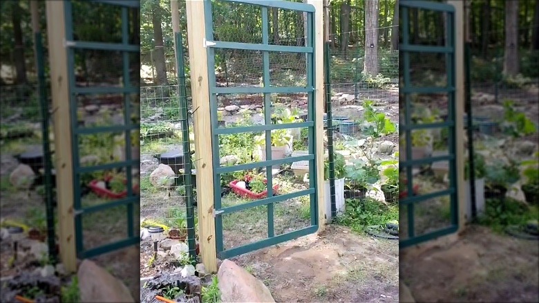 Garden door made from an old box spring
