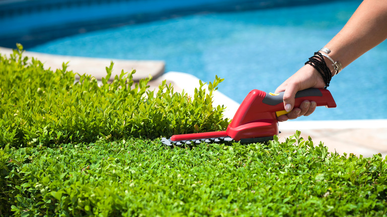 Person trimming bushes near pool