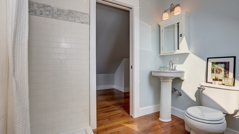 pedestal sink with plant