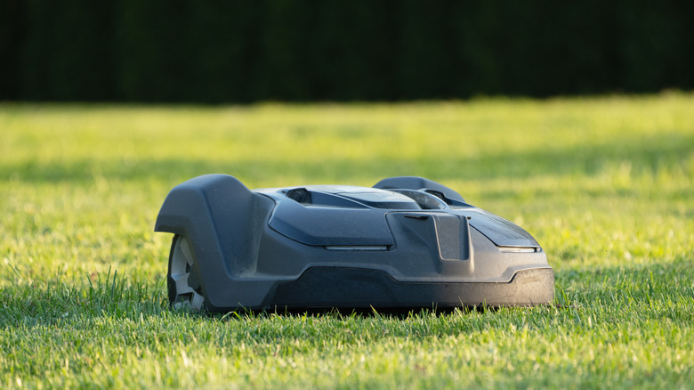 robot lawn mower on grass 
