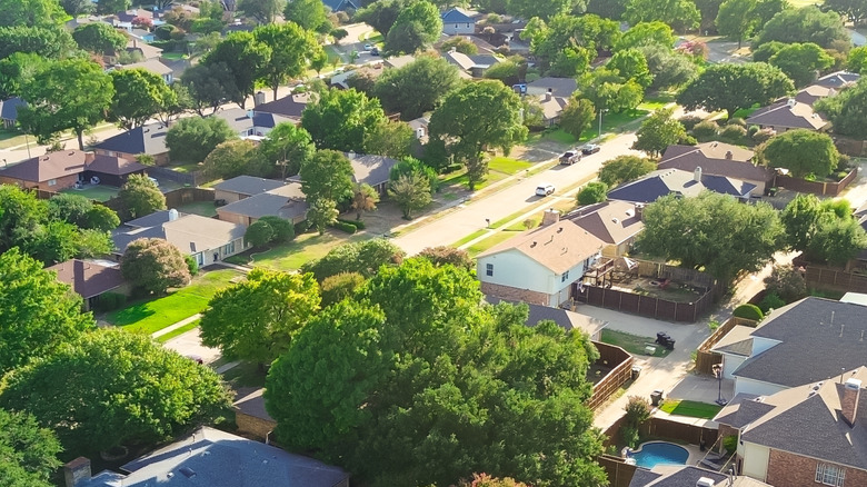 Tree lined residential street in upscale suburban Wentworth Estates neighborhood in West Plano, Texas.