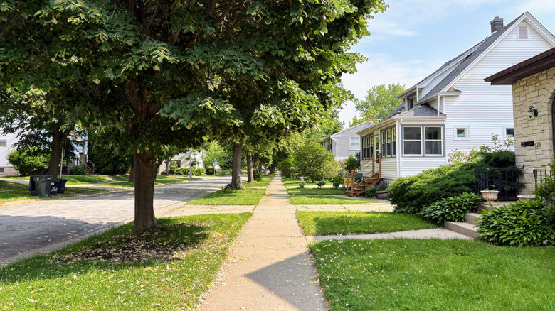Neighborhood in Milwaukee, Wisconsin, with tree lined streets and a sidewalk cutting across yards.