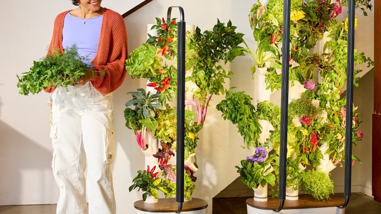 Woman standing next to two different sizes of the Gardyn