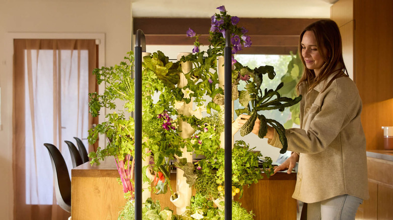 Woman touching a Gardyn garden tower full of green produce