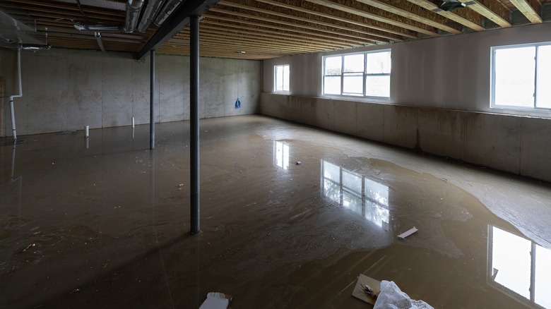 Flooded basement due to failed sump pump