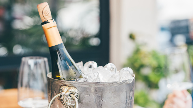 Ice filled champagne bucket in garden