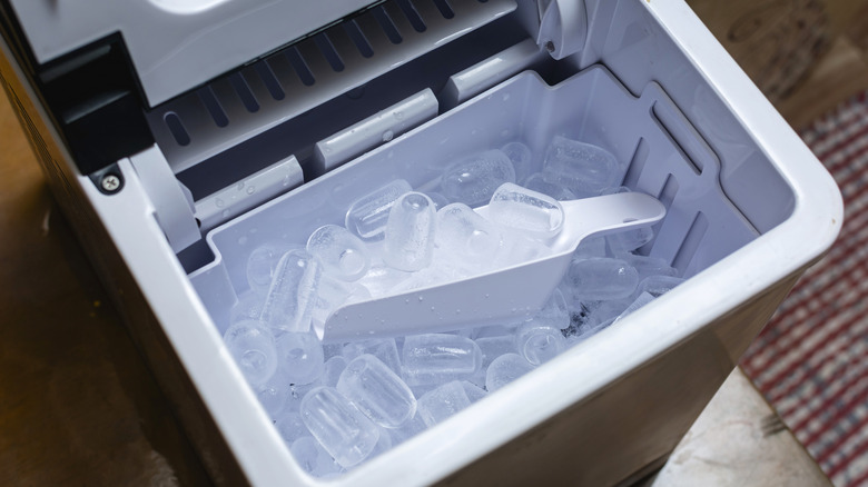 Ice sitting in an ice maker.