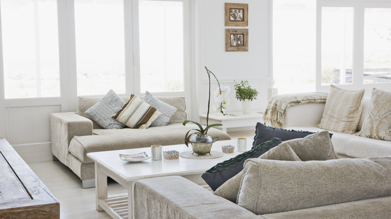 blue pillows in white room